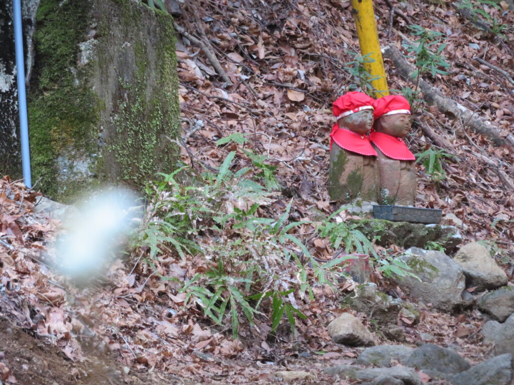 いつもの撮影場所
