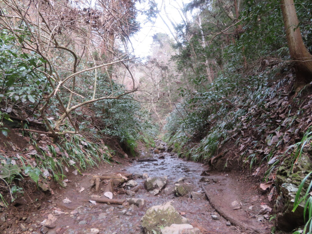 久しぶりの六号路