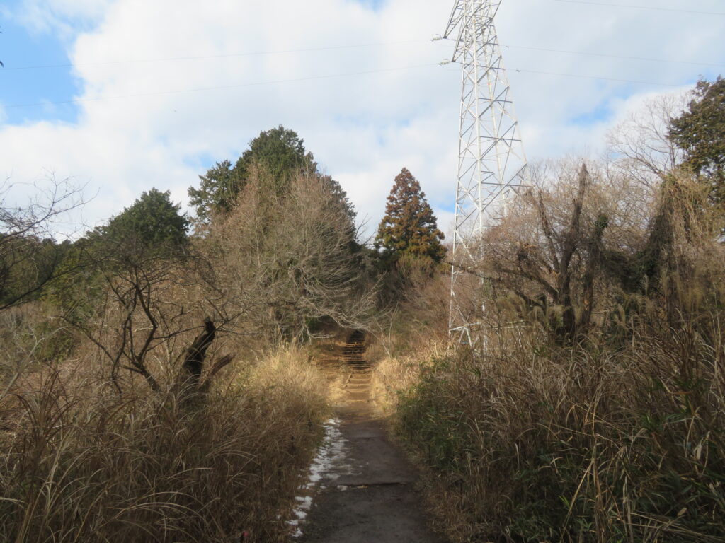 いつもの撮影場所