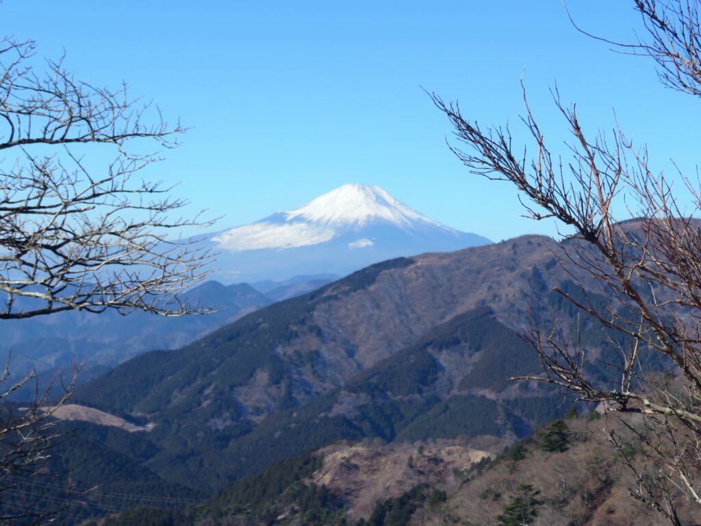 みごとな富士山！