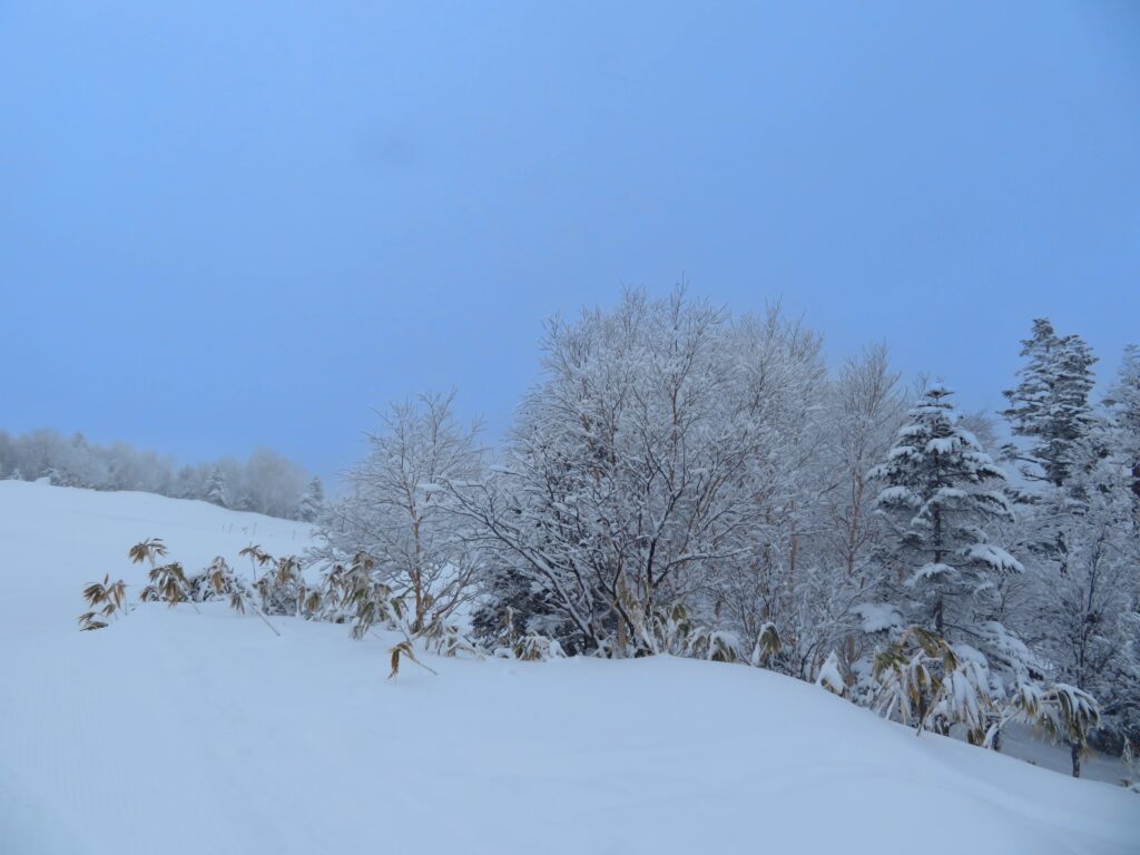 樹氷が綺麗で何枚も撮ってしまいます