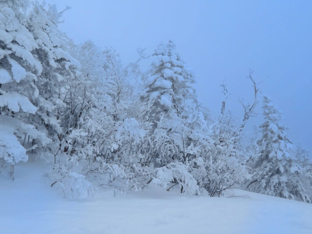 蔵王のスノーモンスターみたい
来月は蔵王に行くので楽しみです！