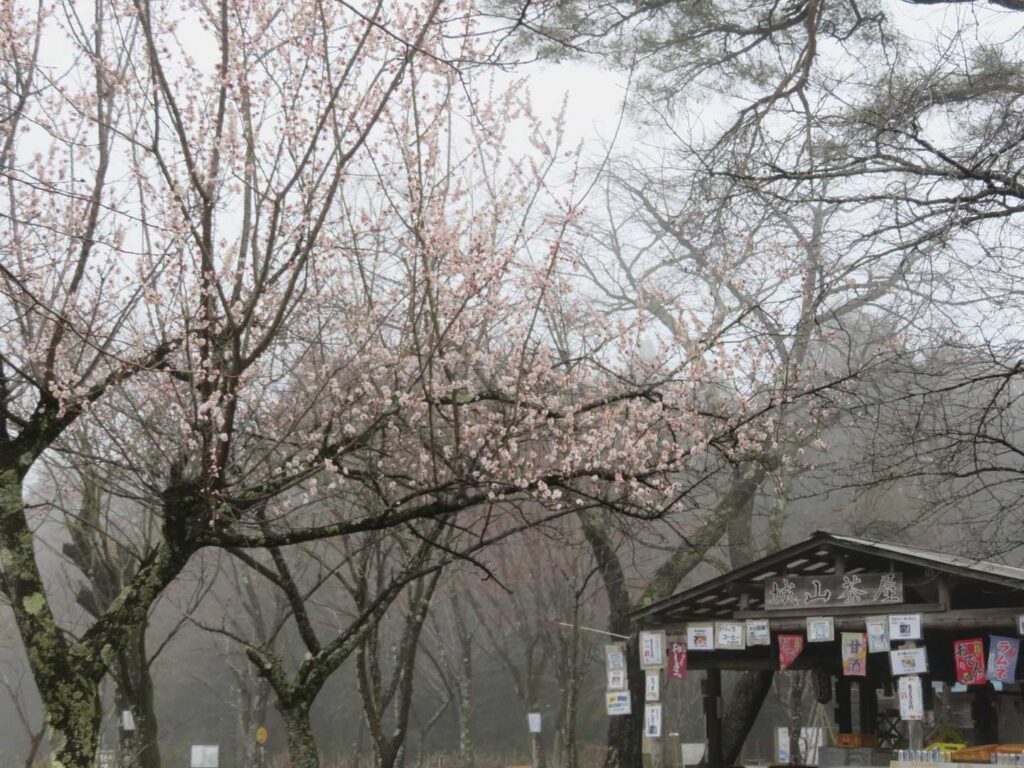 静かな小仏城山