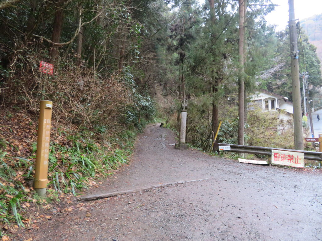 六号路を登ります