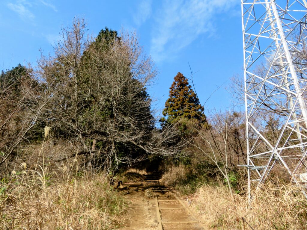 いつもの撮影場所