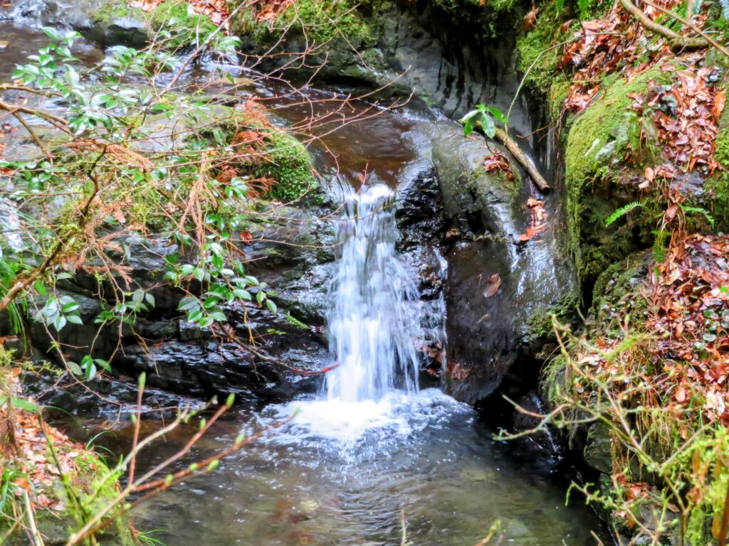 水の流れが綺麗！