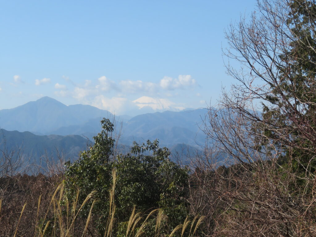 かすかに富士山が見えます