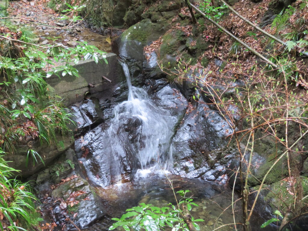 今日は水量が多い