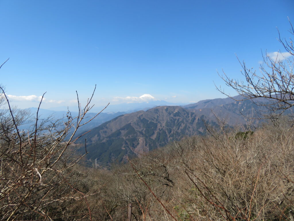 大山山頂からの富士山