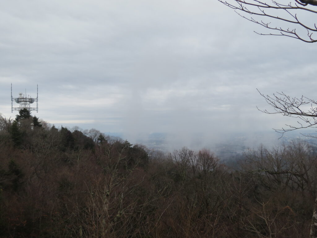 霧で幻想的な風景