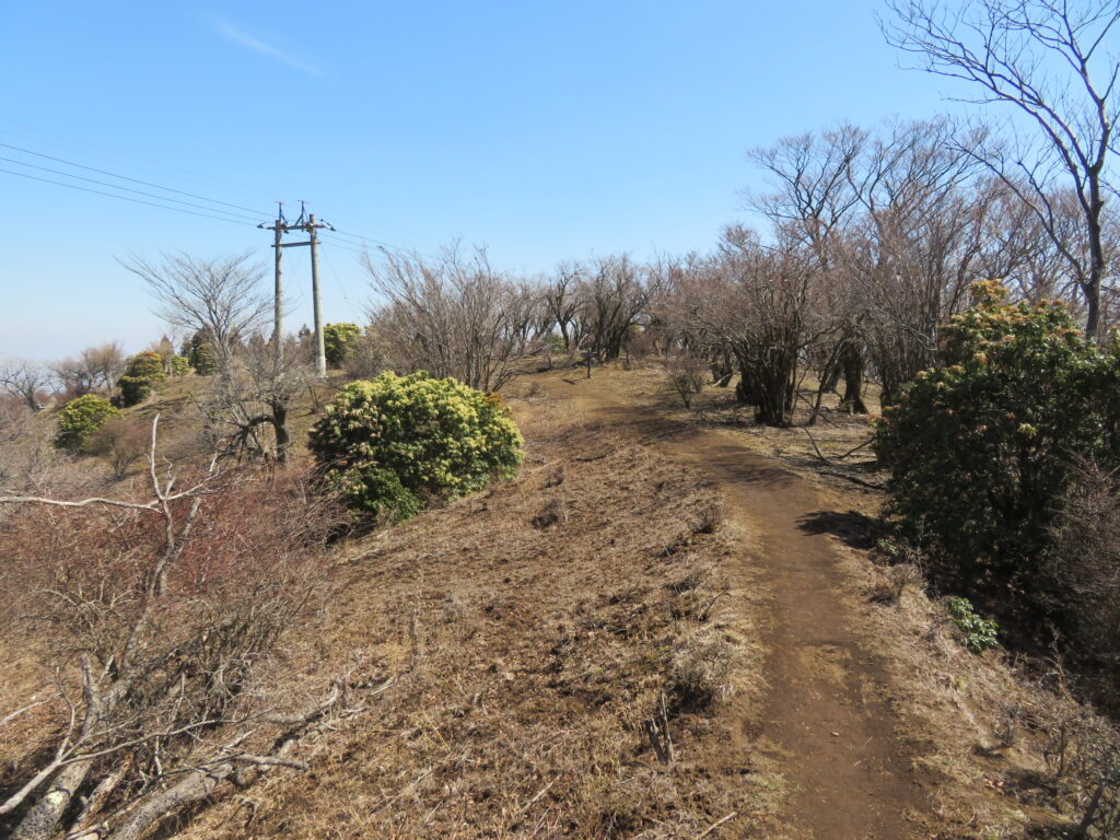 この開けた場所が好き