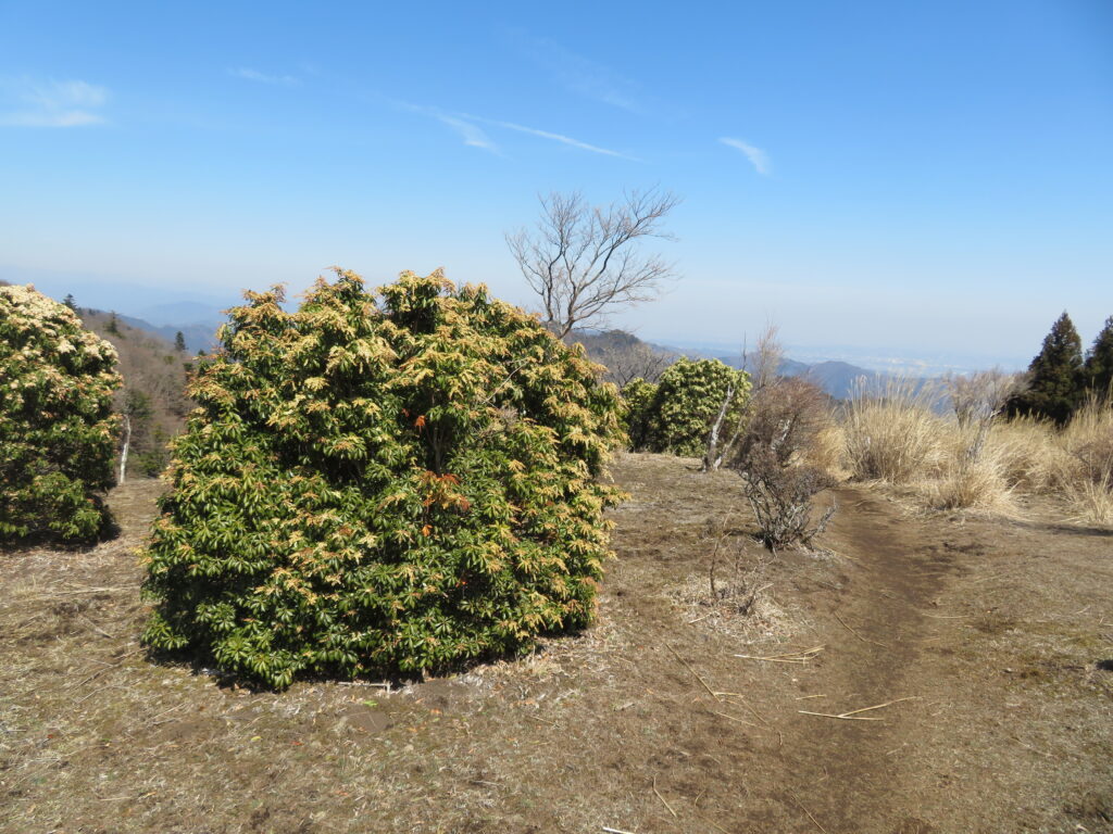 天気がよくて気持ちいい!