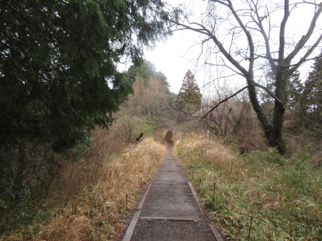 いつもの撮影場所