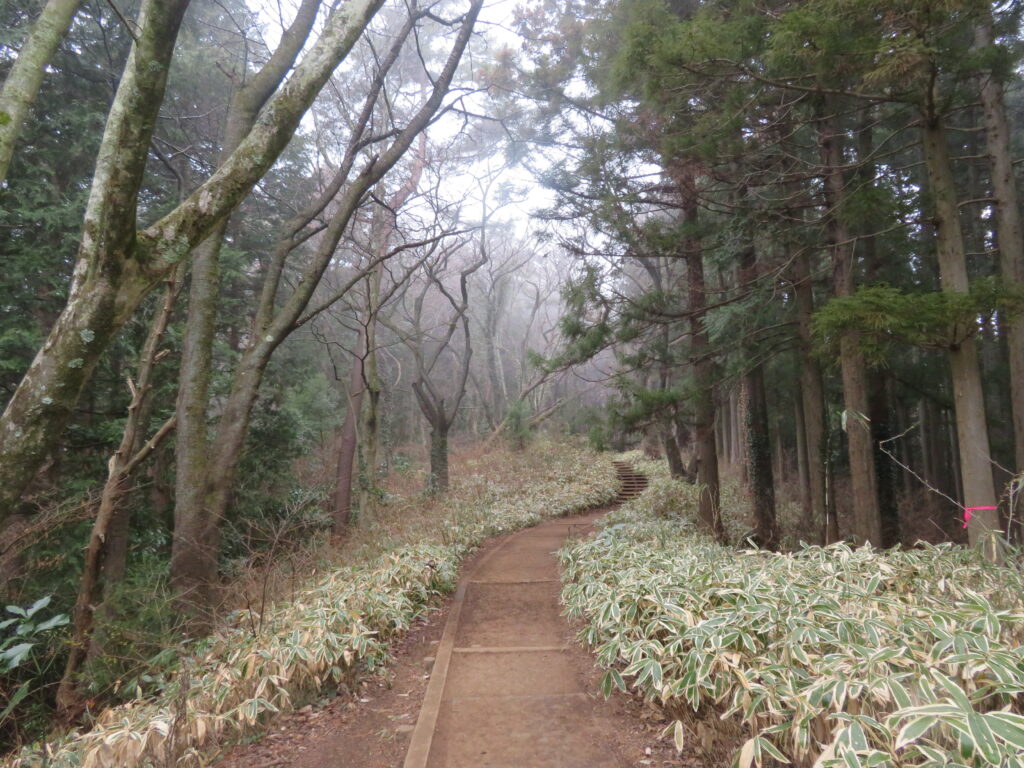 雨上がりの静かな感じがとても心地よい！