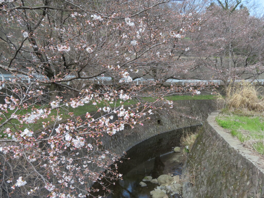 七沢まで歩いてきました