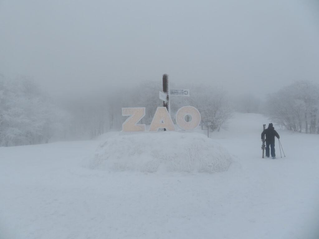 スカイケーブルの山頂