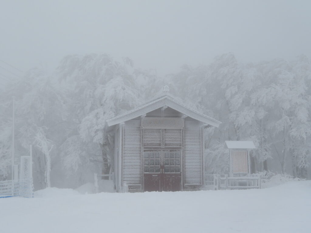 猛吹雪です・・・