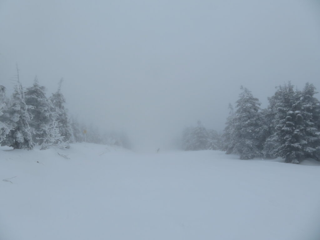 楽しみにしていた「樹氷原コース」
ですが、真っ白で先が見えません・・・