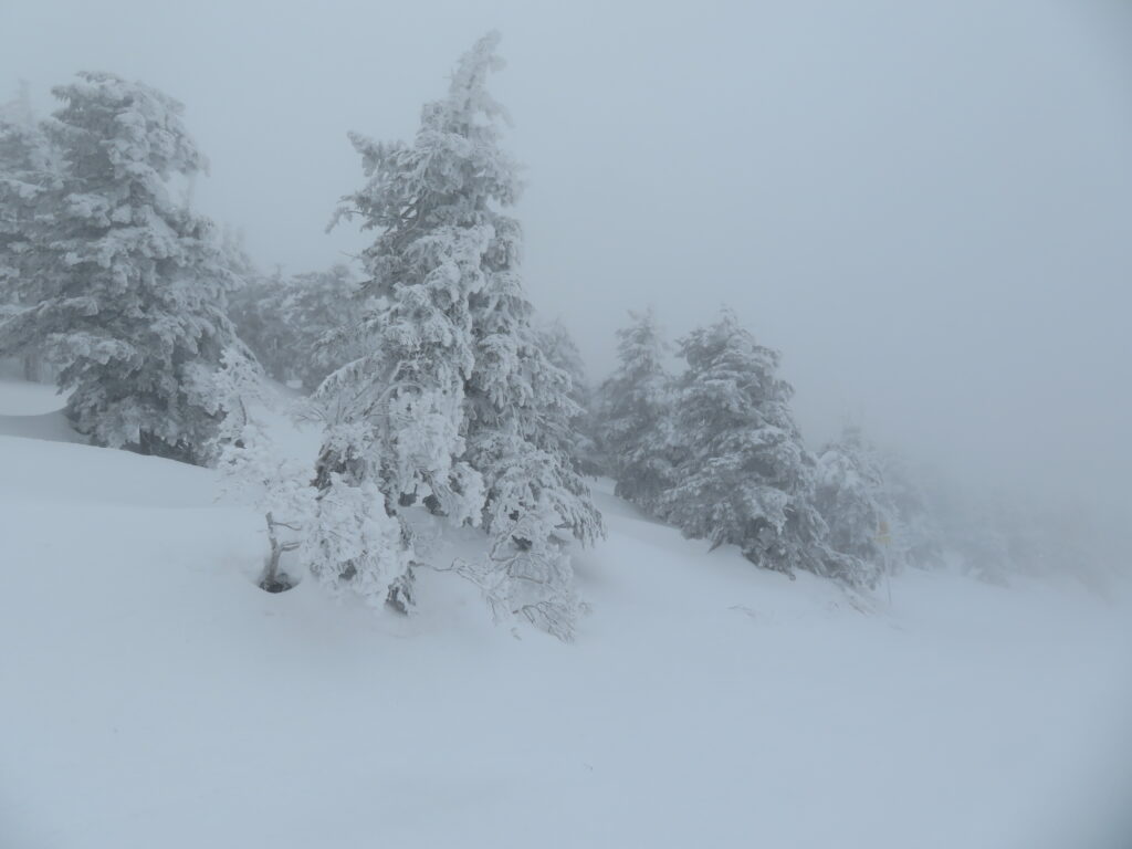 2日目よりは先が見渡せます