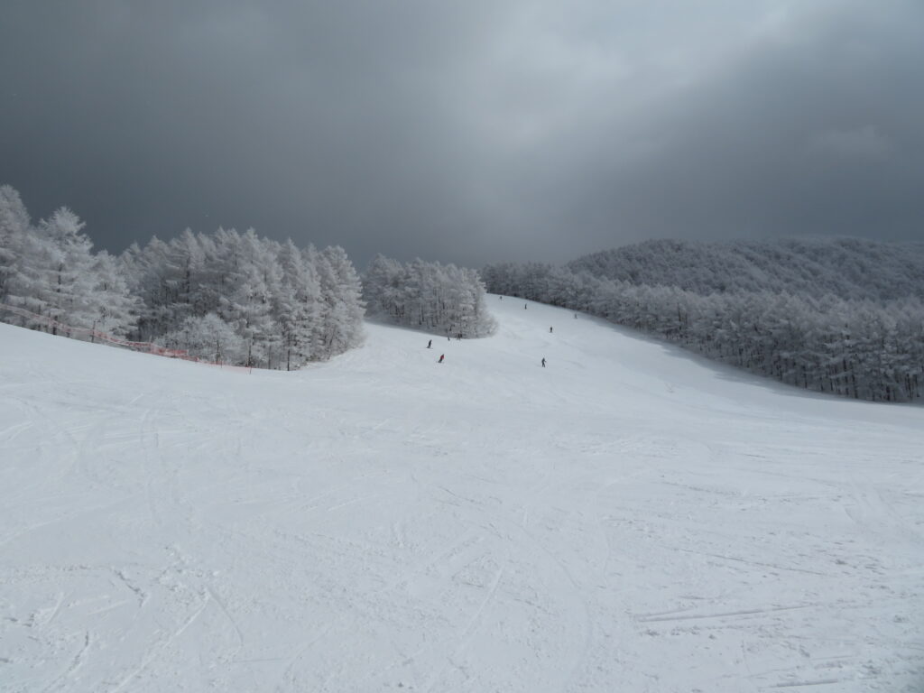 黒姫第一クワッドまで下りてきました