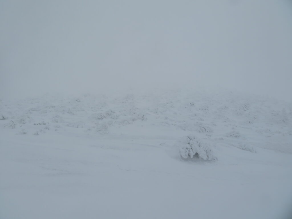 絶景の樹氷原のはず