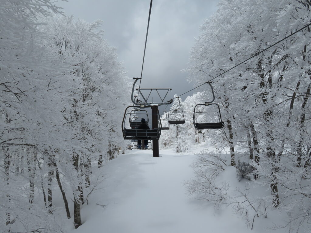 片貝トリプル（16番）
中央エリアへ戻ります