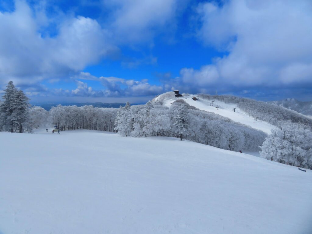 絶景ですね！
山頂に見えるのは中央ロープウェイ山頂駅