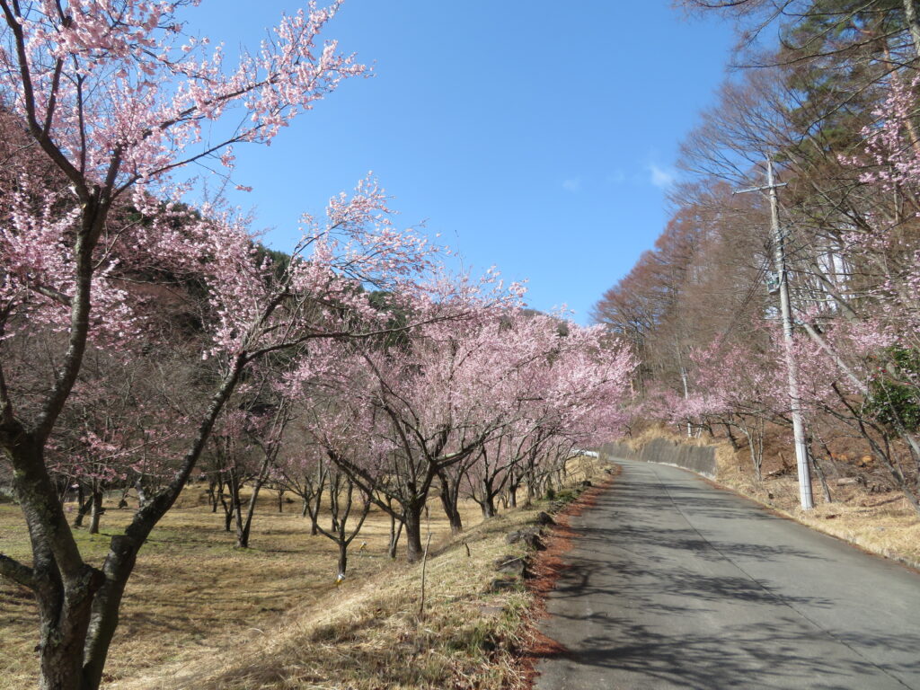 これは素晴らしい👍