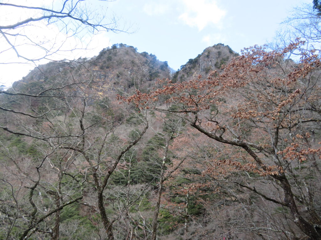 山頂が見えてきました