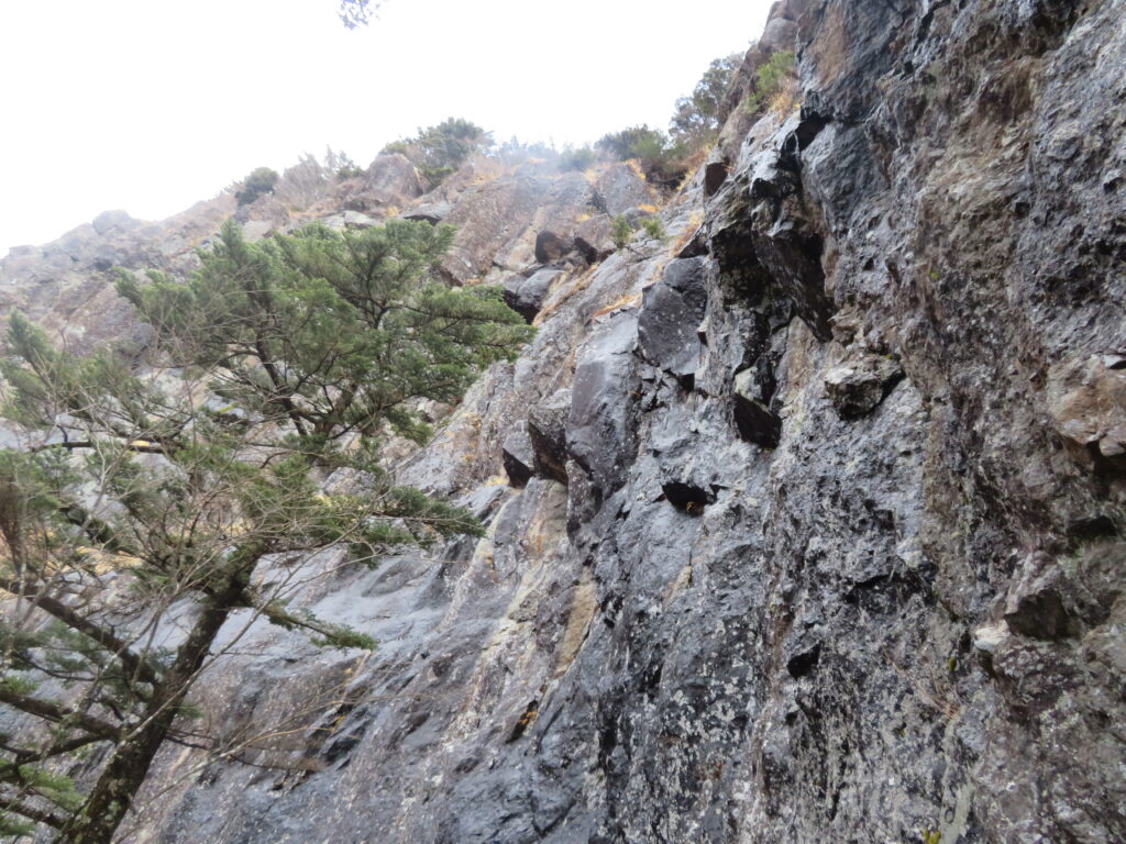山頂手前の岩壁
登ってる強者の方がいました