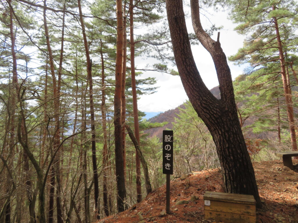 股のぞきに到着！
いつもはここで富士山とご対面