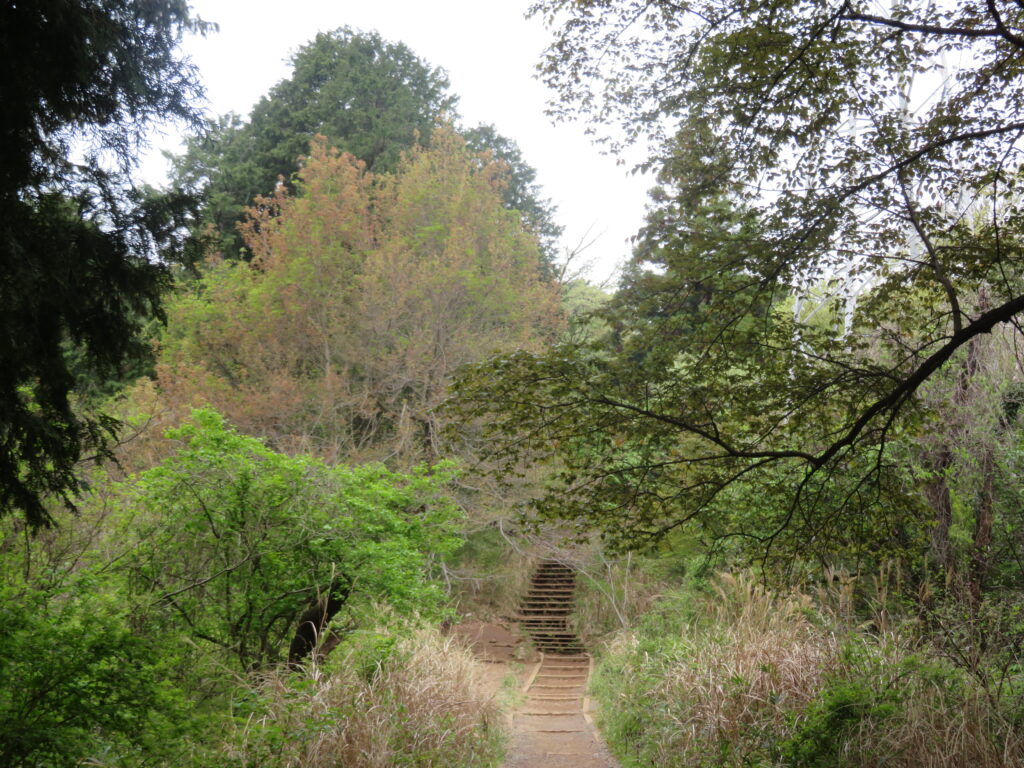 いつもの撮影場所