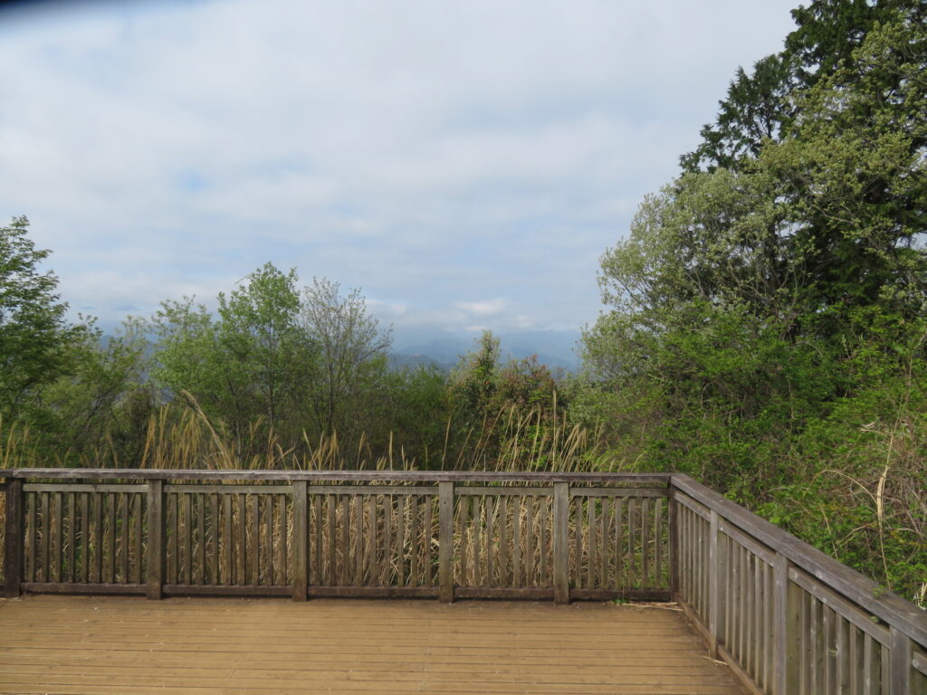 一丁平展望台
富士山は雲の中
