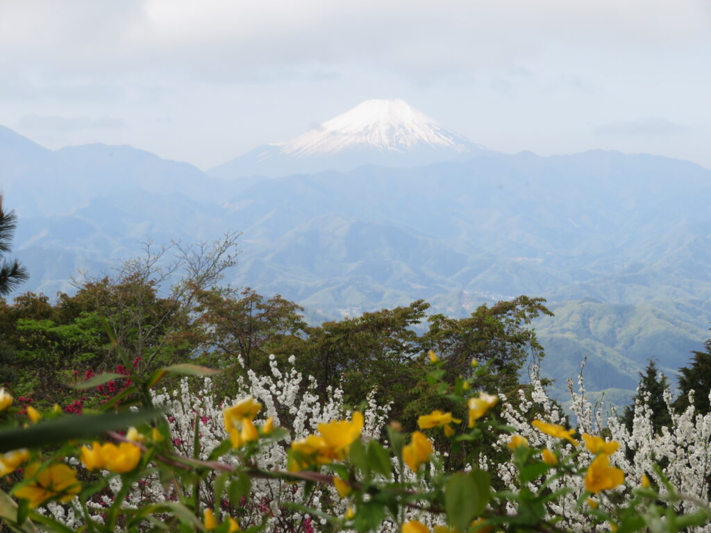 小仏城山の山頂から富士山が見えました！
