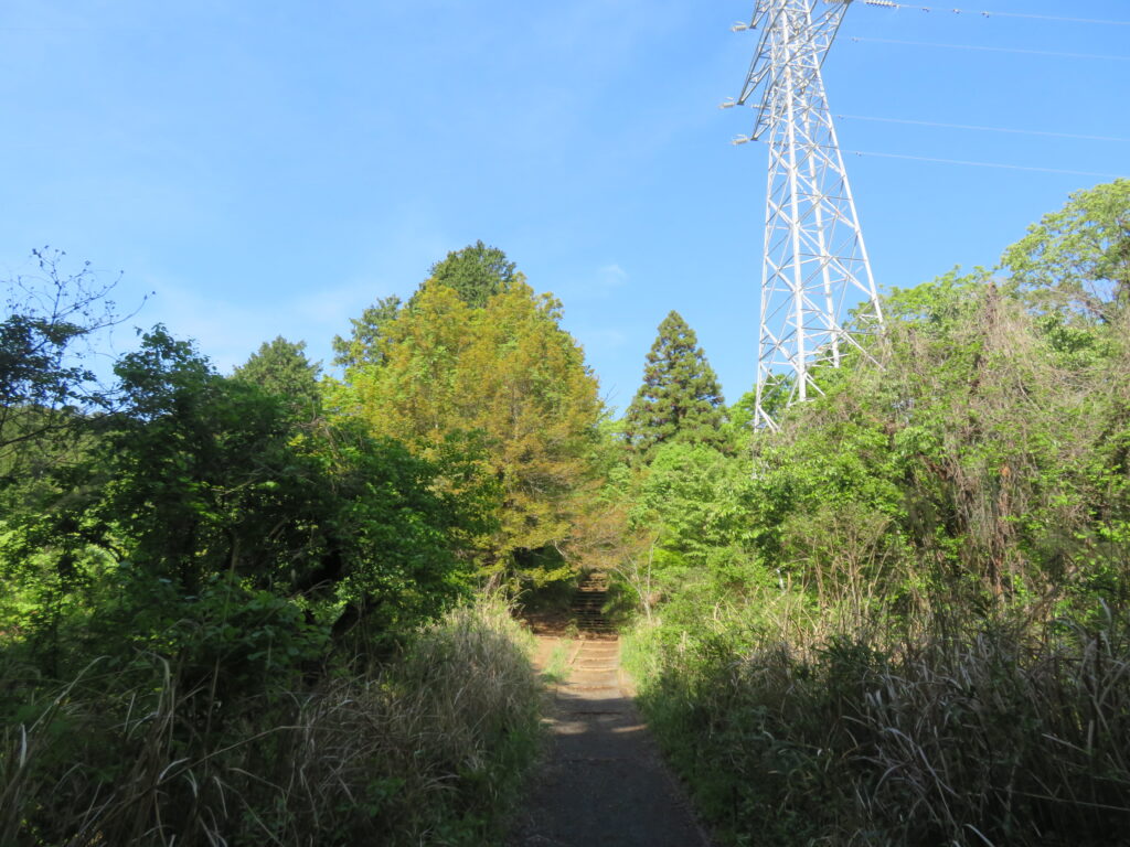 いつもの撮影場所