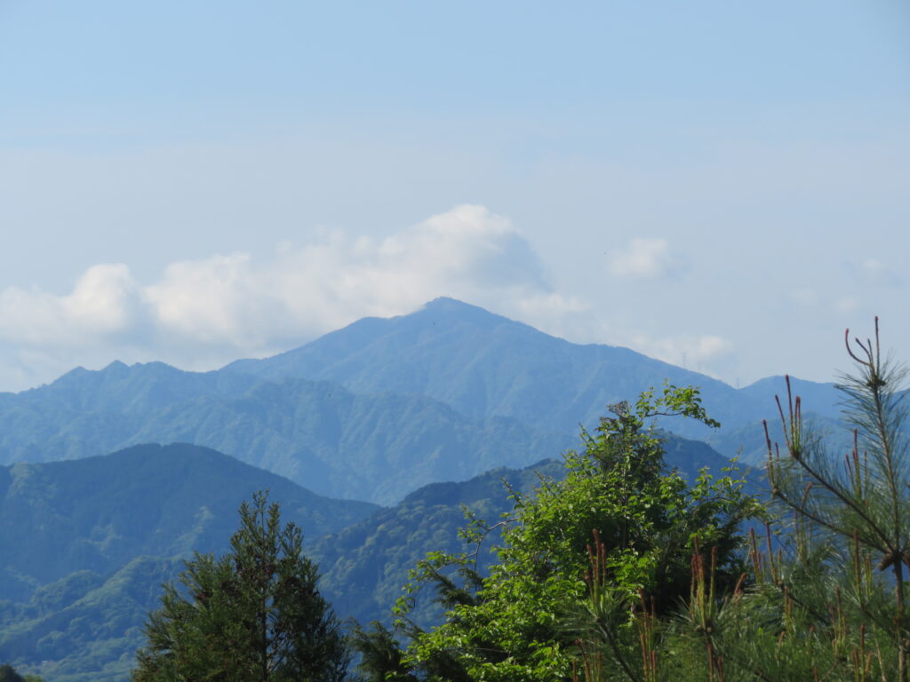 丹沢大山