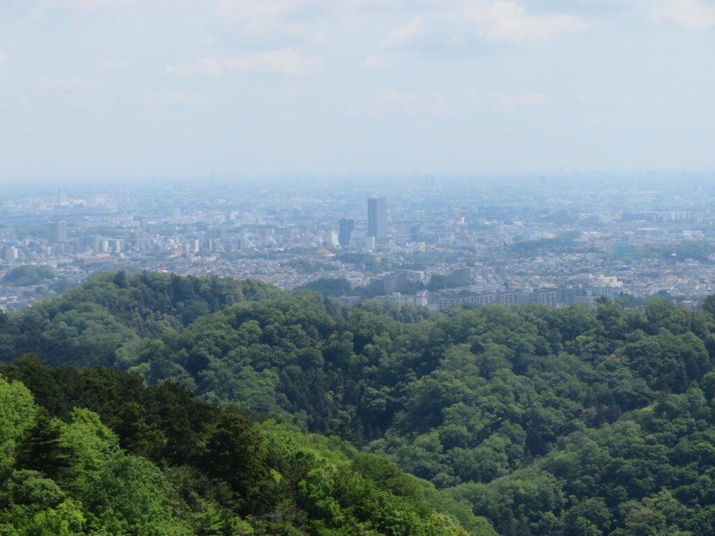 稲荷山まで下りてきました