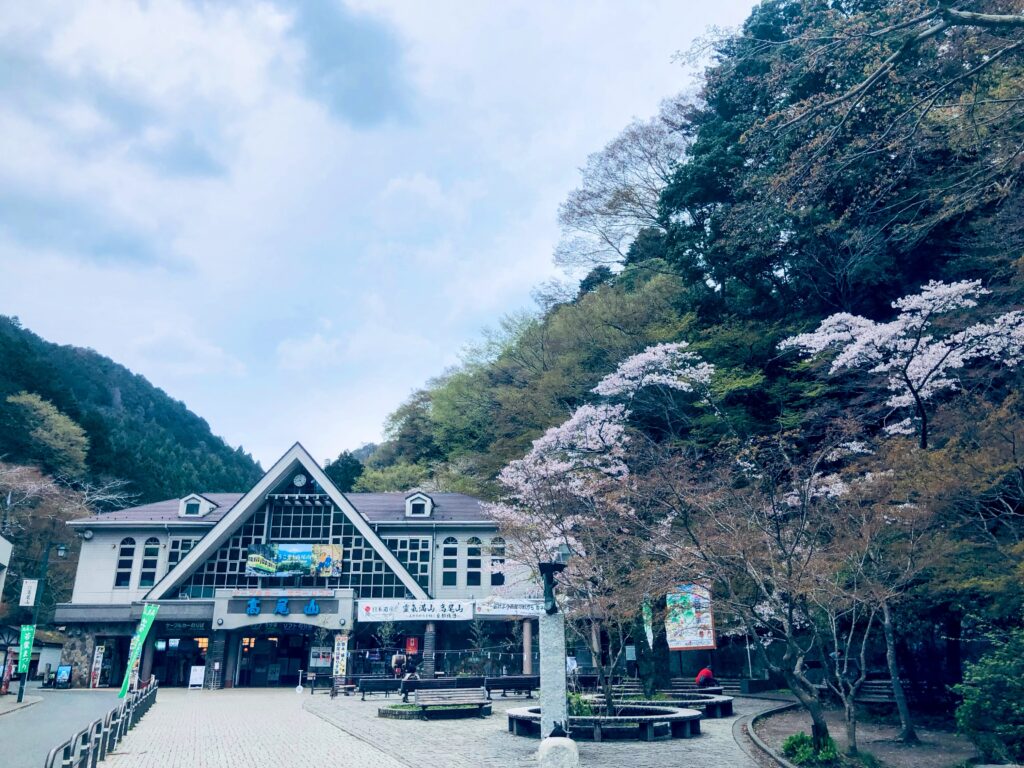 出発!
右側の桜が綺麗🌸