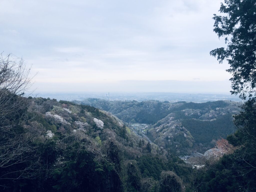 稲荷山到着!
ピンクと緑のコントラストが鮮やか