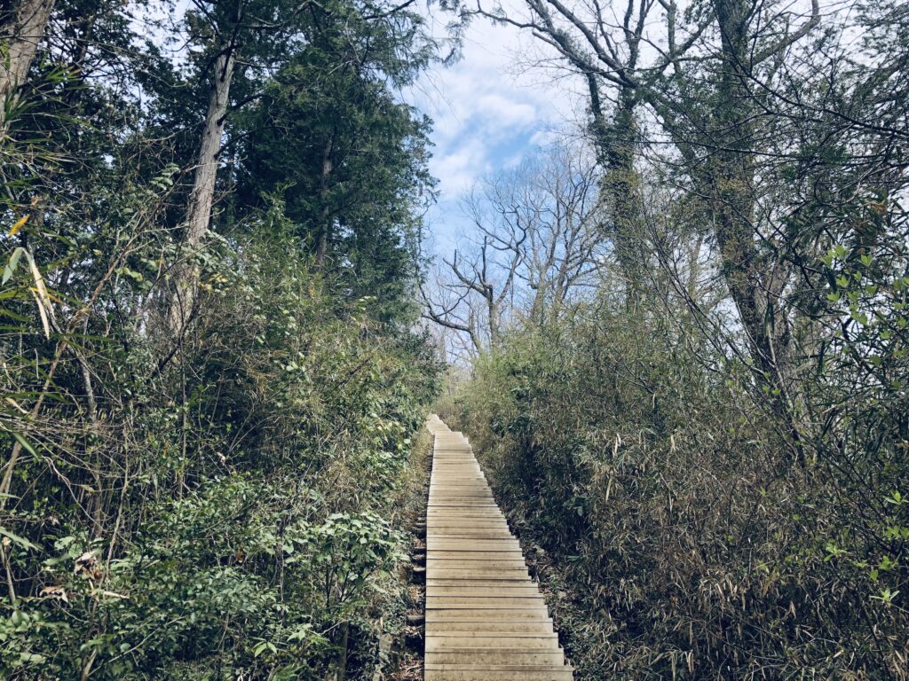 山頂まであと少し
最後の階段がキツイ…