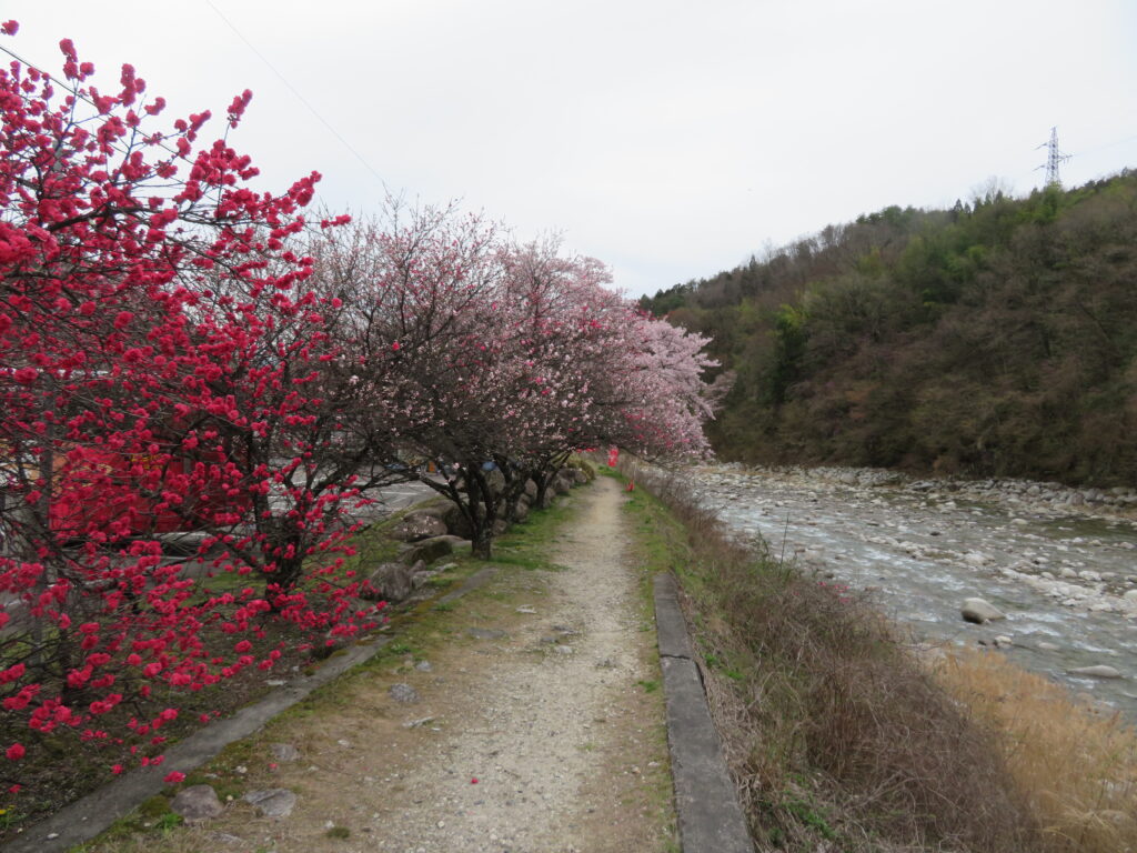 昼神温泉に来ました
朝市会場の駐車場を出発！
