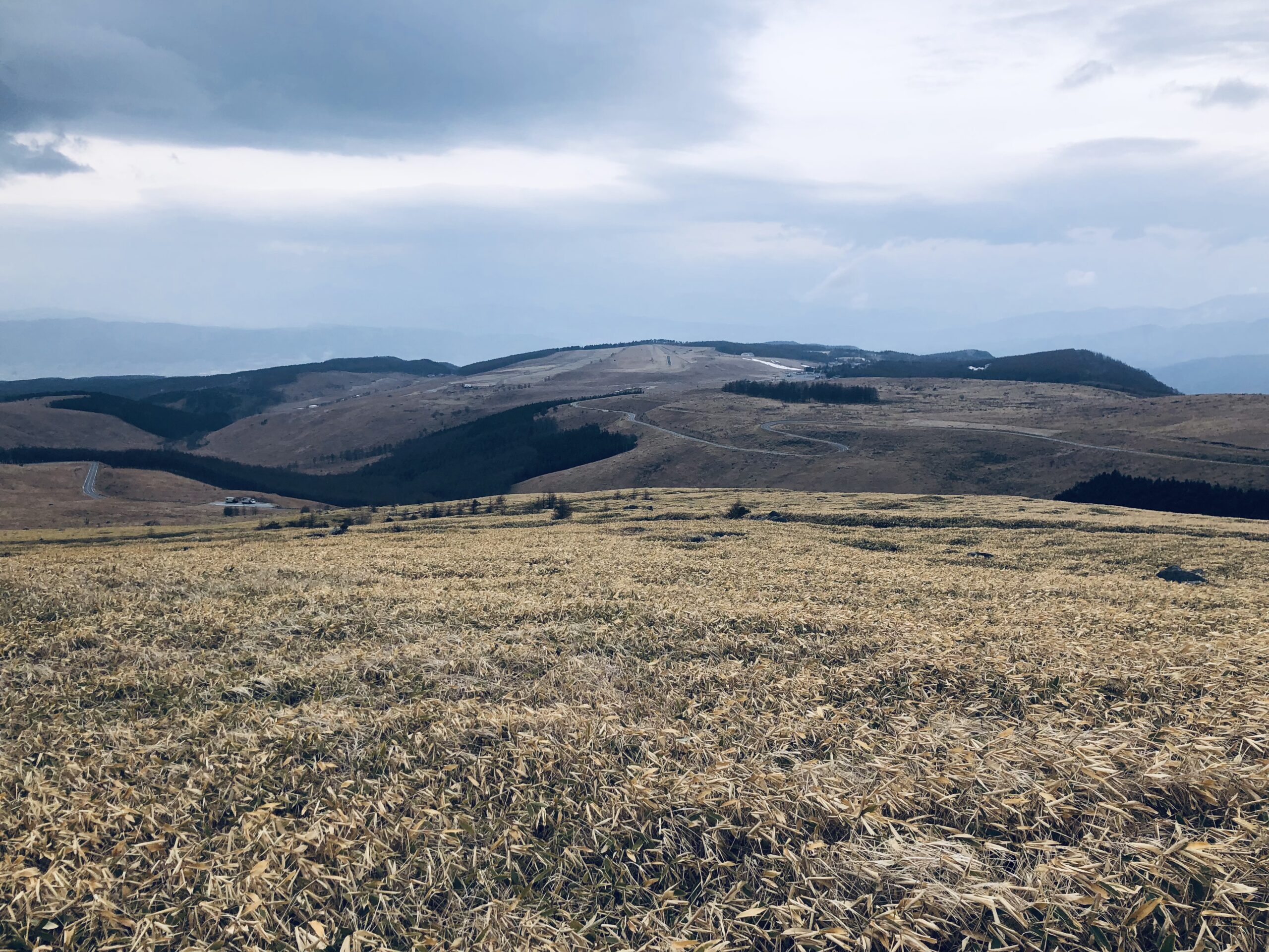 少し登ったところから