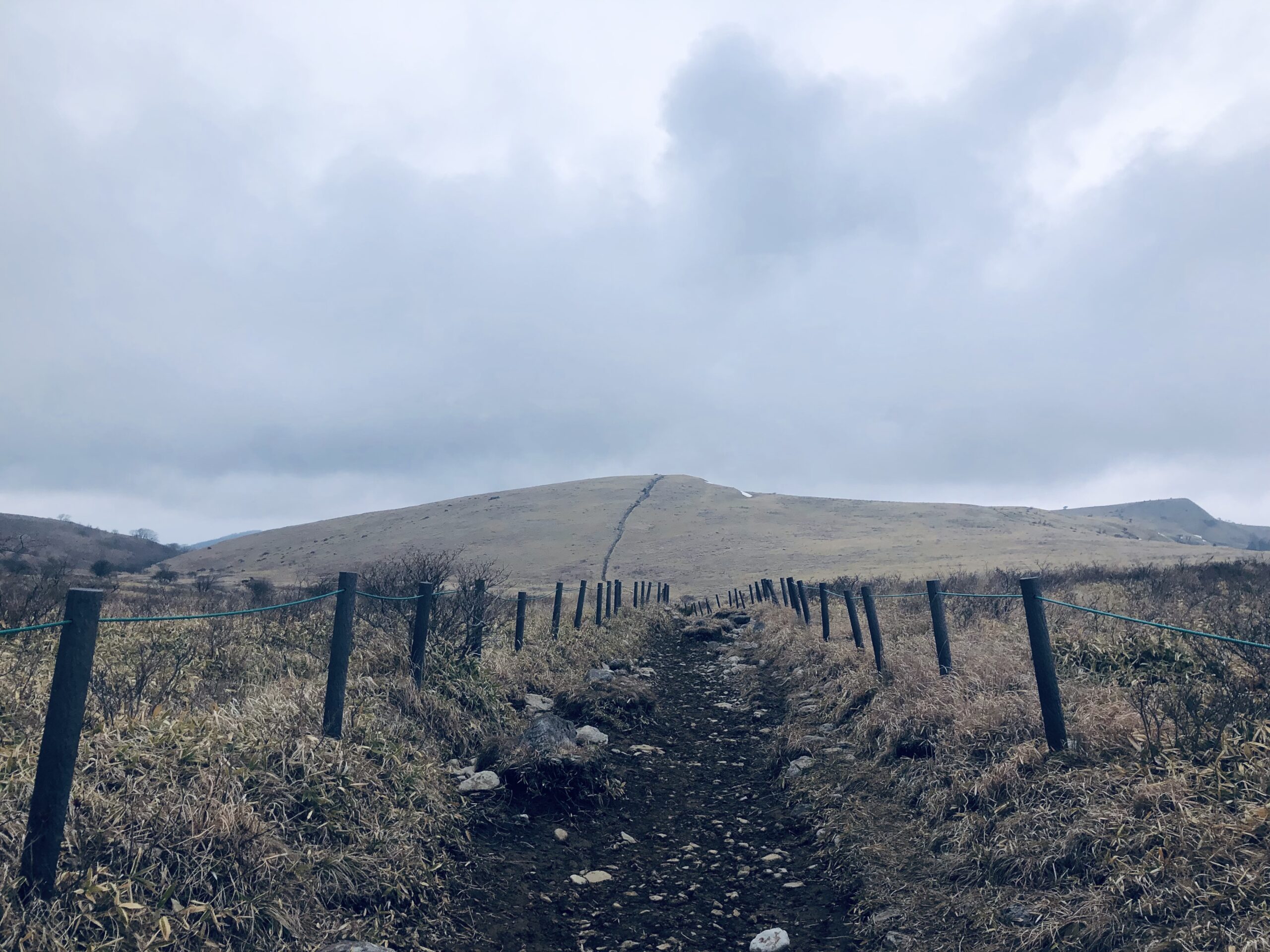 途中で左へ曲がり、
車山湿原方面へ向かいます