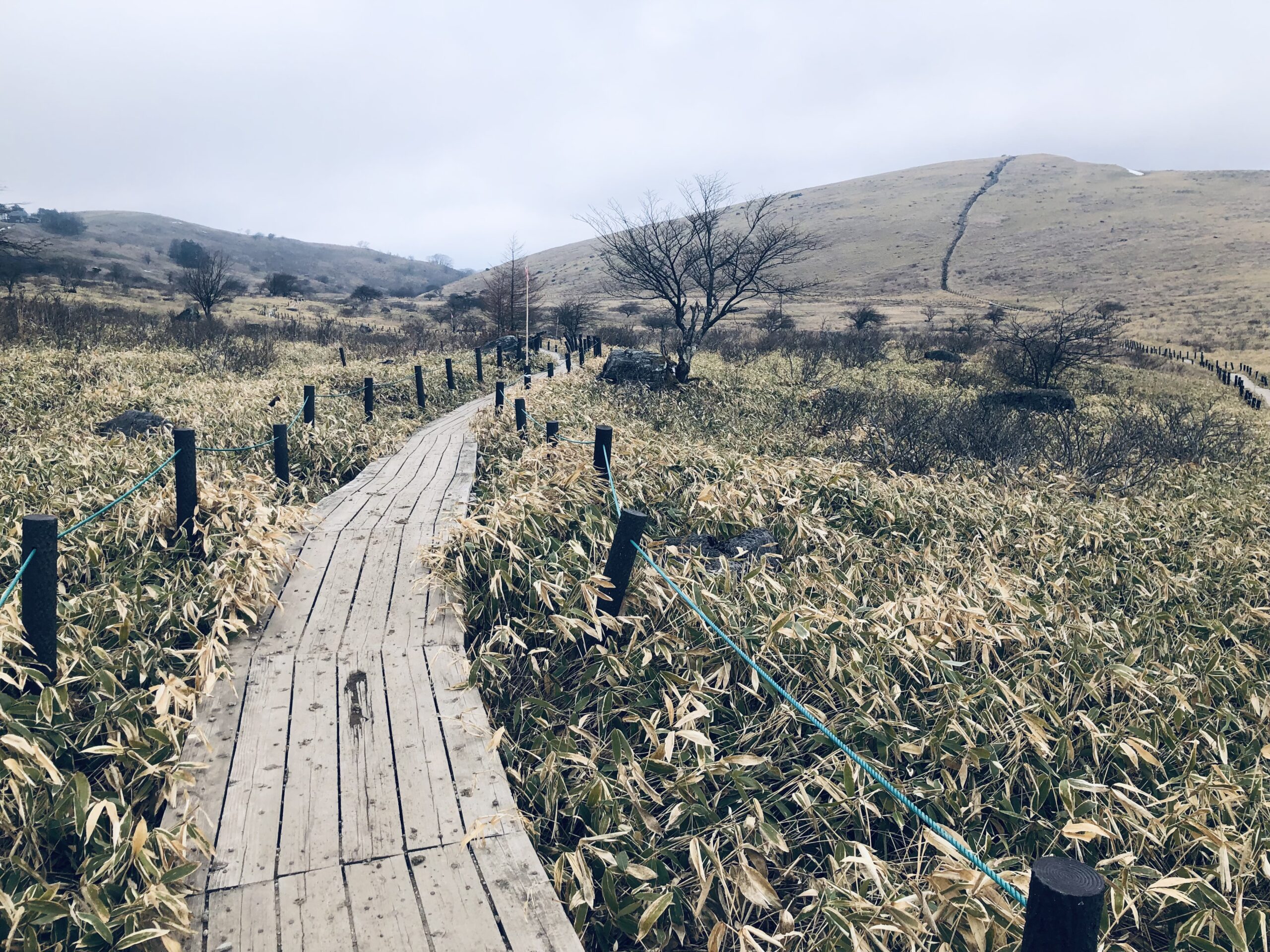 車山湿原
ここの木道は気持ちがよくて好きです