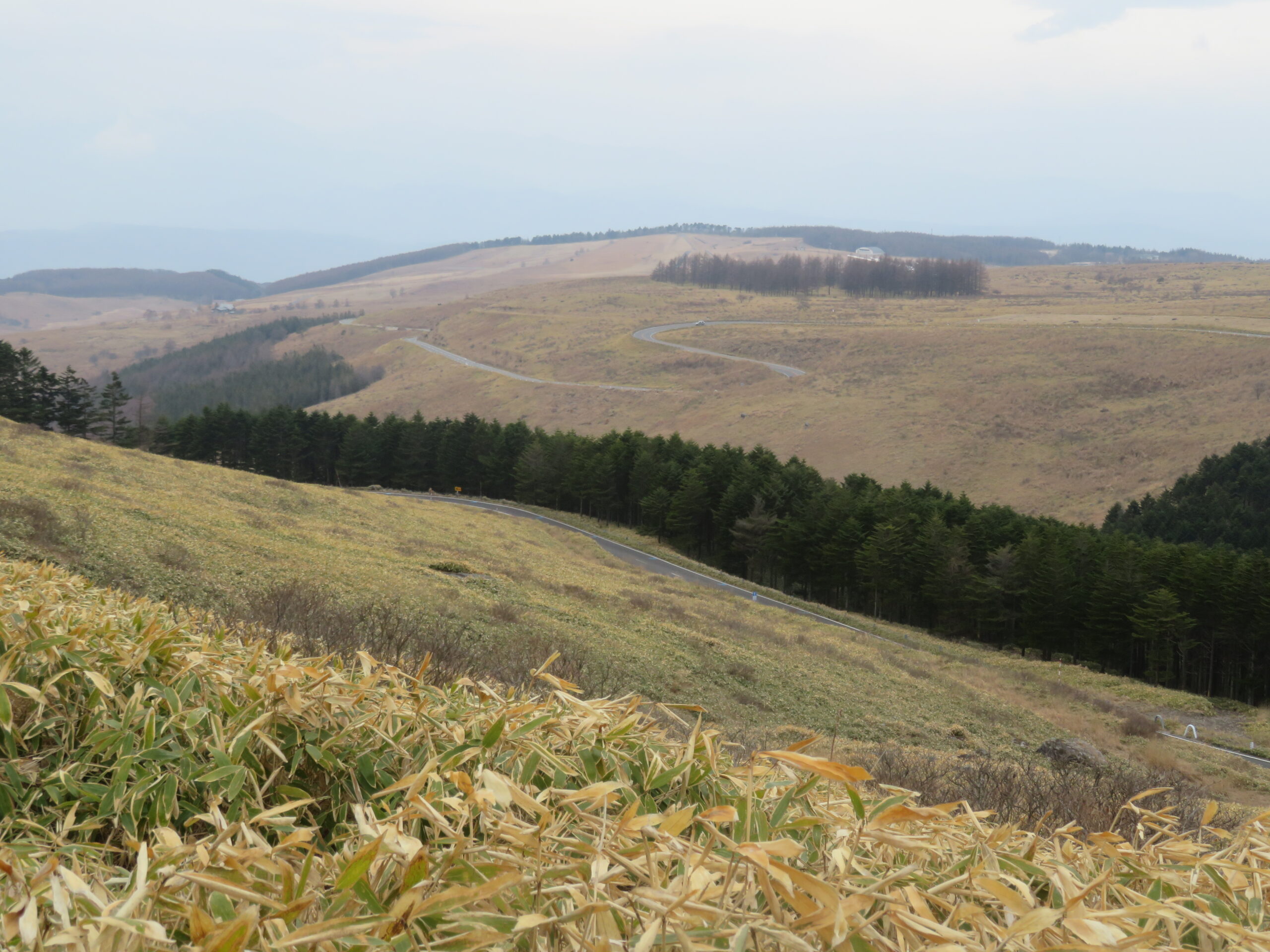 綺麗なＳ字カーブ