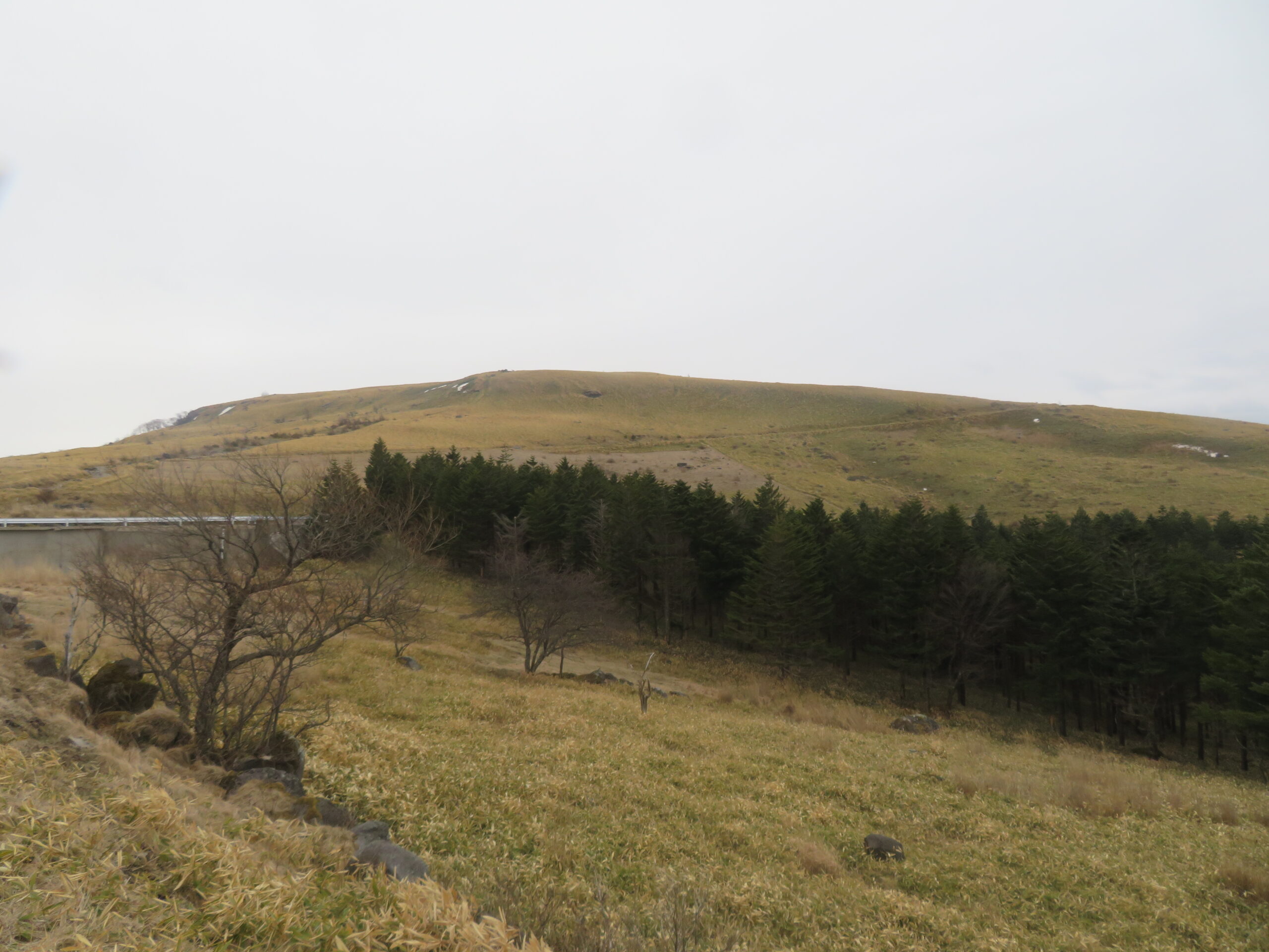 つづら折りの道路を抜けると、霧ヶ峰が見えてきました！