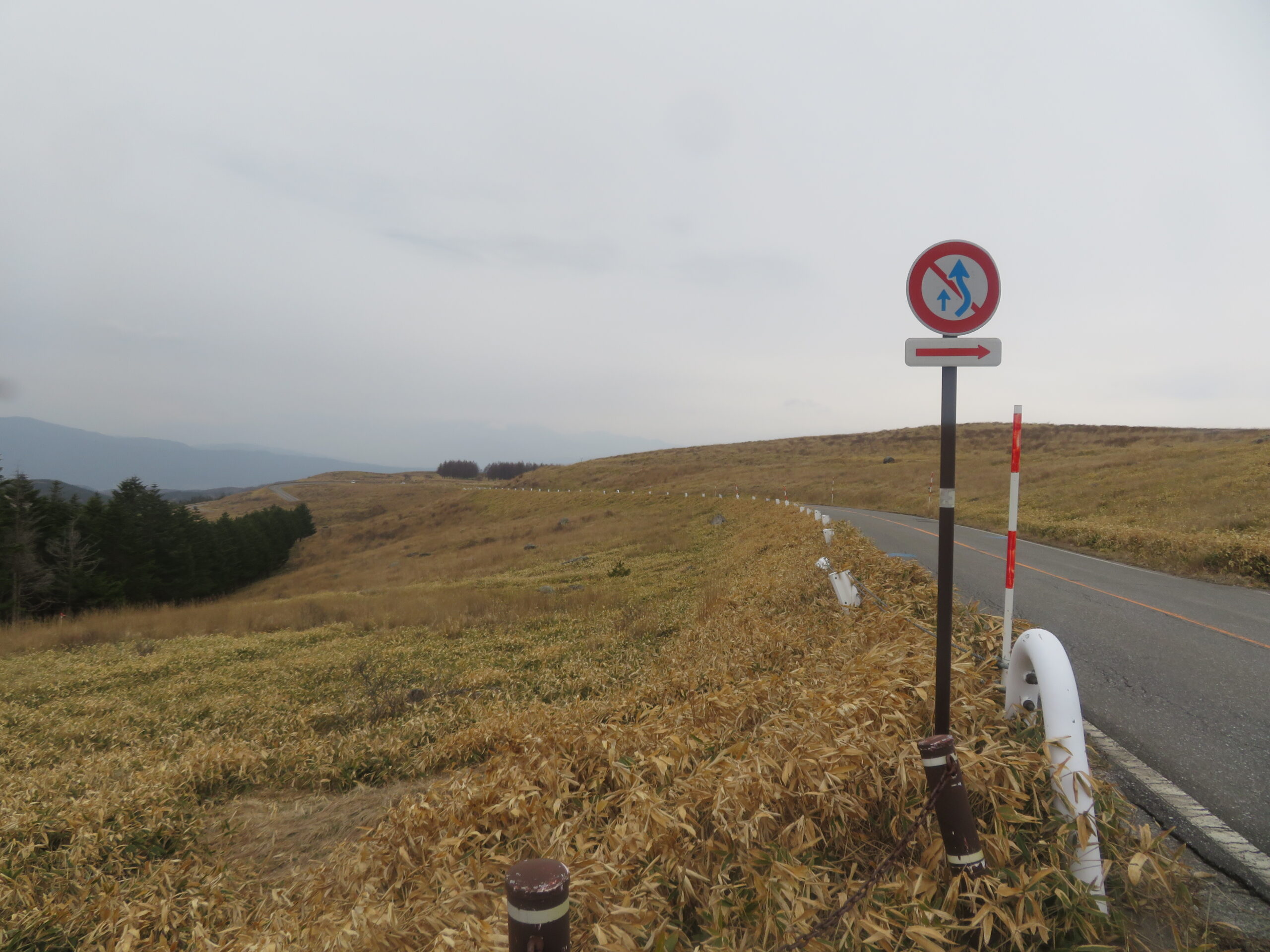 走ってきたビーナスラインを振り返る