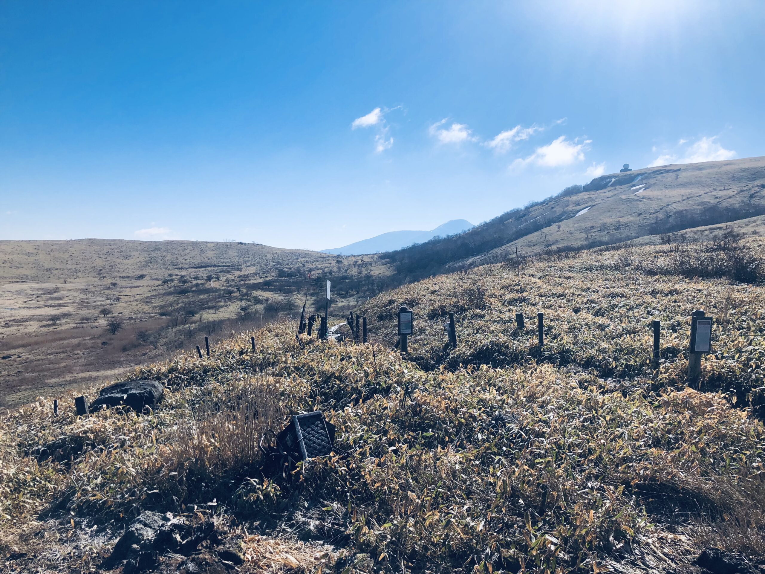 存分に楽しんだので東京へ戻ります