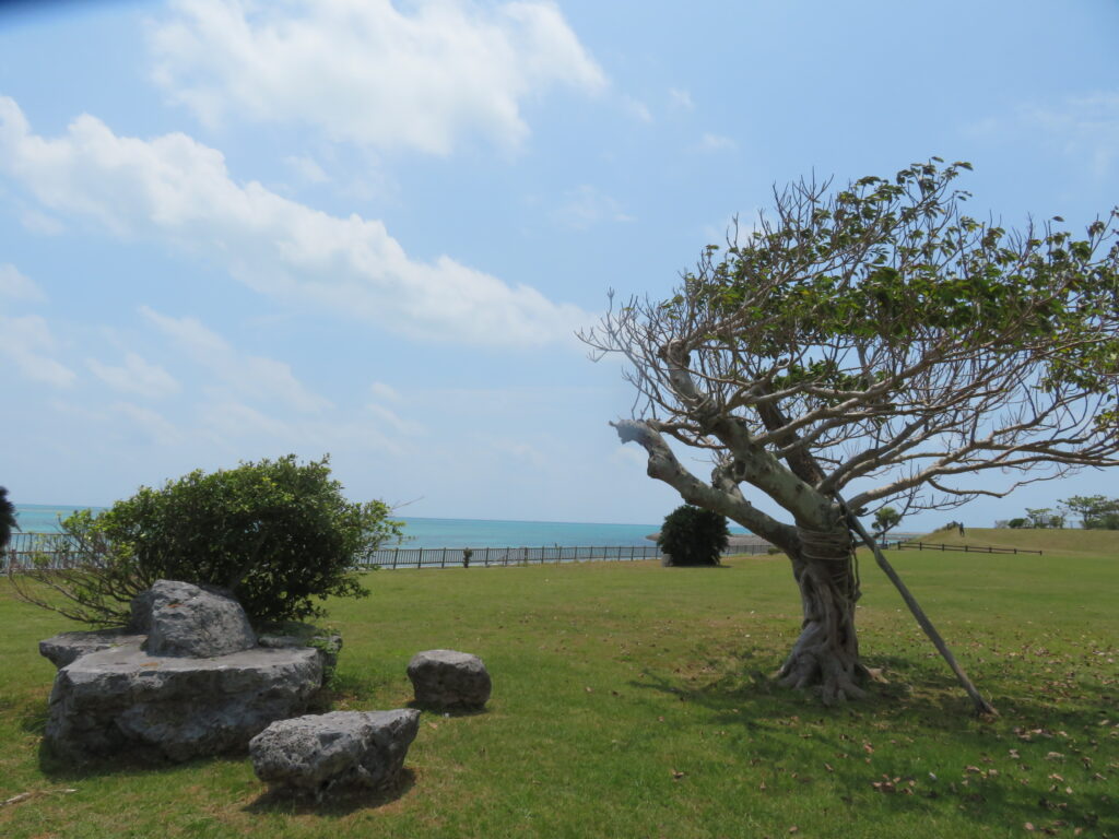 （2日目のスキューバダイビングのあと）
ホテルの前にあるサザンゲートブリッジを
渡ったところにある緑地公園