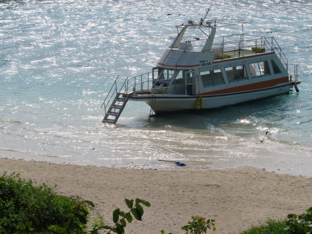 グラスボートの船がたくさん浮かんでいます